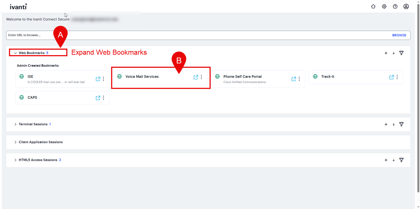 Image of VPN internal landing page